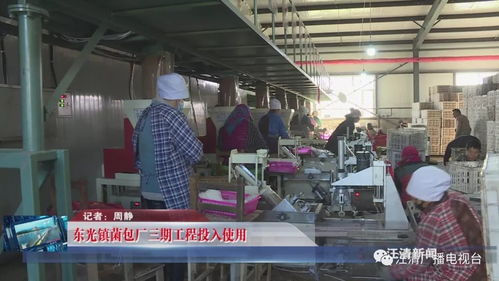 東光鎮菌包廠三期工程順利投產，技術服務賦能產業升級