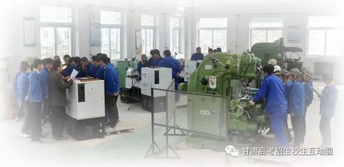 甘肅林業(yè)職業(yè)技術學院機電工程學院 以技術服務為引擎，賦能區(qū)域產(chǎn)業(yè)發(fā)展