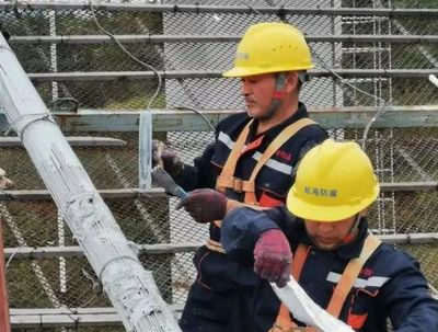 寶山區7家企業入選2023年度上海市科技小巨人（含培育）企業立項名單 工程技術服務領域再添生力軍